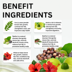 Amla, Reetha, Shikakai, Curry Leaves & Hibiscus Powder - Hair Growth Combo Pack (250 g)
