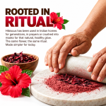 Hibiscus Powder for Hair | Natural Hibiscus Powder for Hair Growth | Pure Hibiscus Flower Powder | 100 Gms